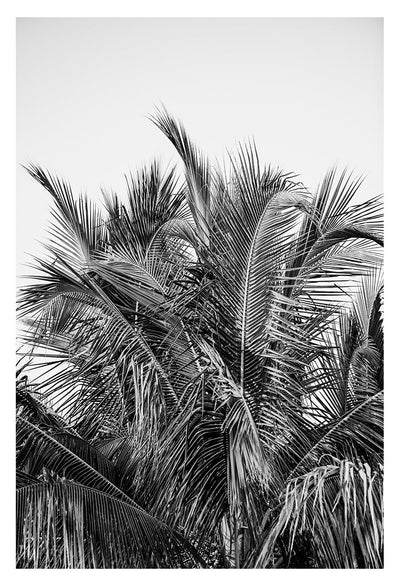 Modern Black And White Photograph - No. 13 by Alicia Bock Print Shop - main product image for Resin Society