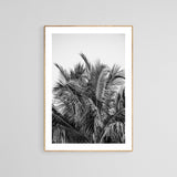 Modern Black And White Photograph - No. 13 by Alicia Bock Print Shop - product image 2 for Resin Society