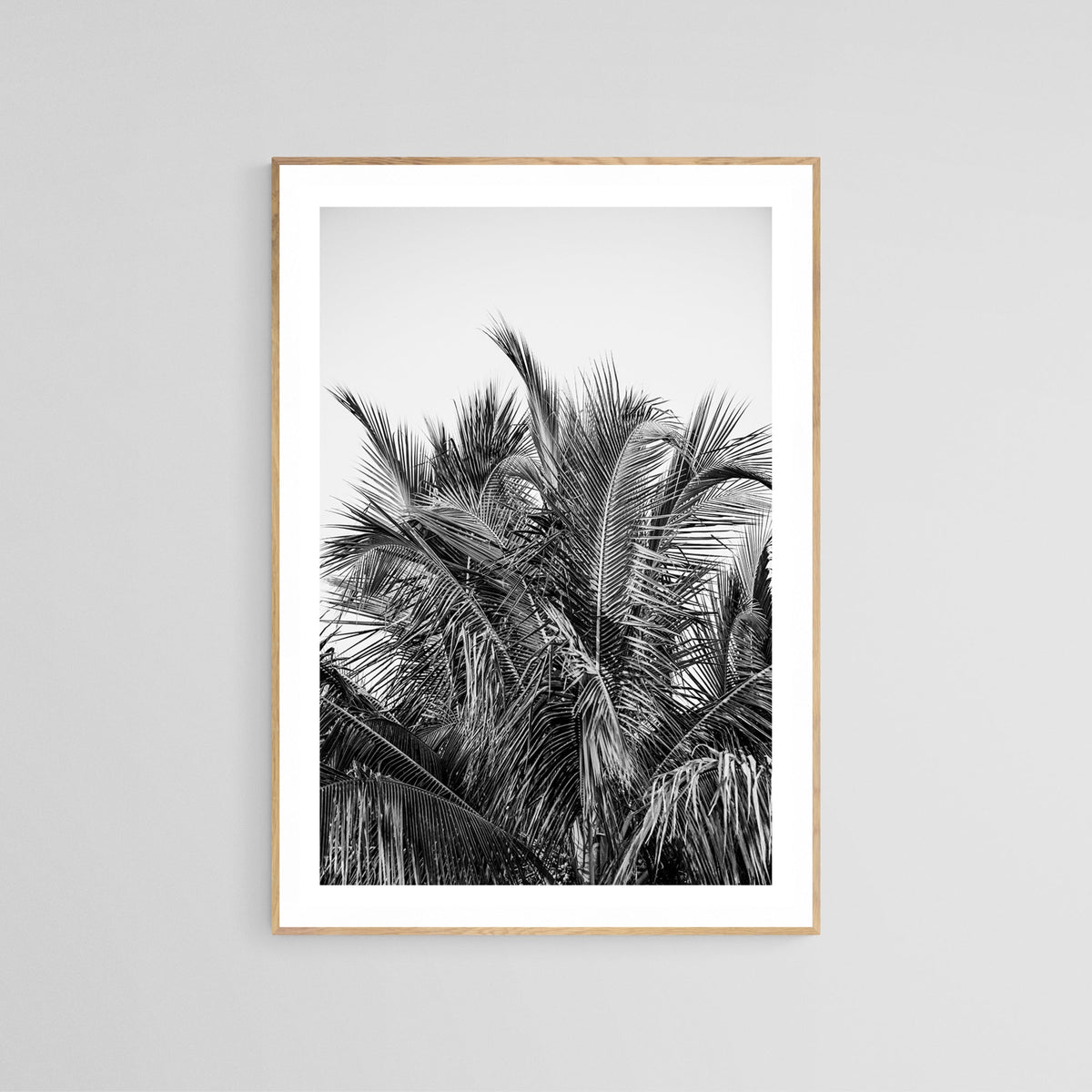 Modern Black And White Photograph - No. 13 by Alicia Bock Print Shop - product image 2 for Resin Society