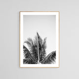 Modern Black And White Photograph - No. 14 by Alicia Bock Print Shop - product image 2 for Resin Society