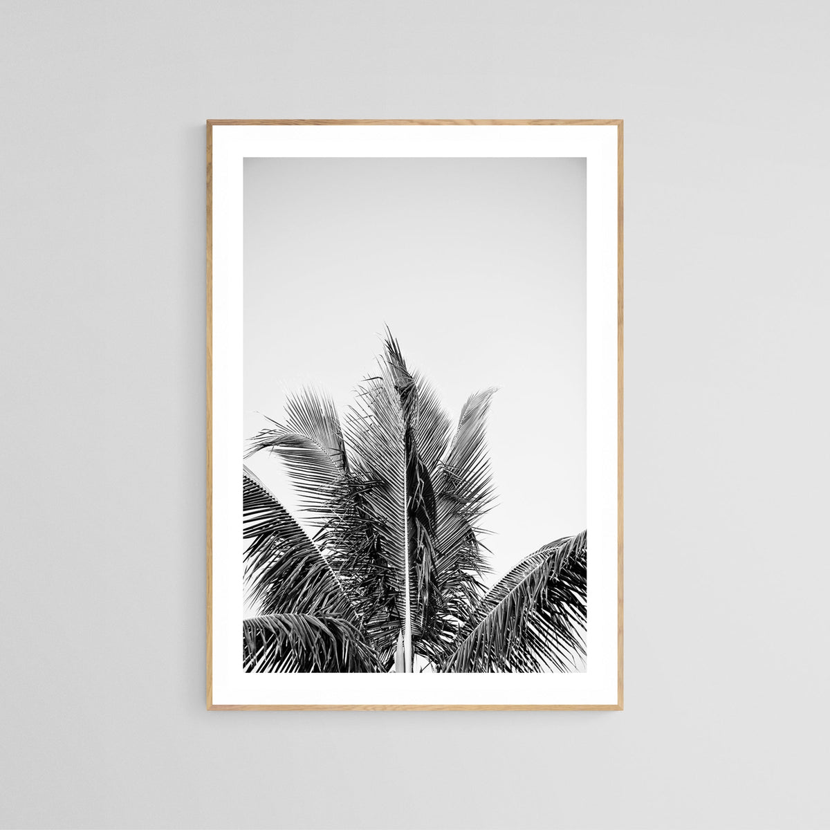 Modern Black And White Photograph - No. 14 by Alicia Bock Print Shop - product image 2 for Resin Society