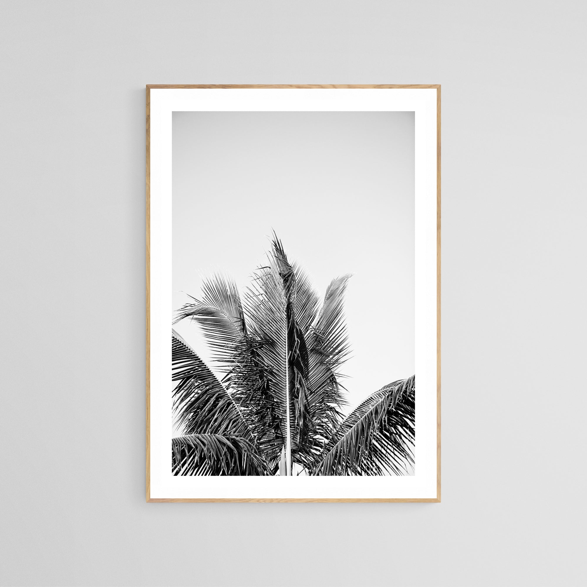 Modern Black And White Photograph - No. 14 by Alicia Bock Print Shop - product image 2 for Resin Society