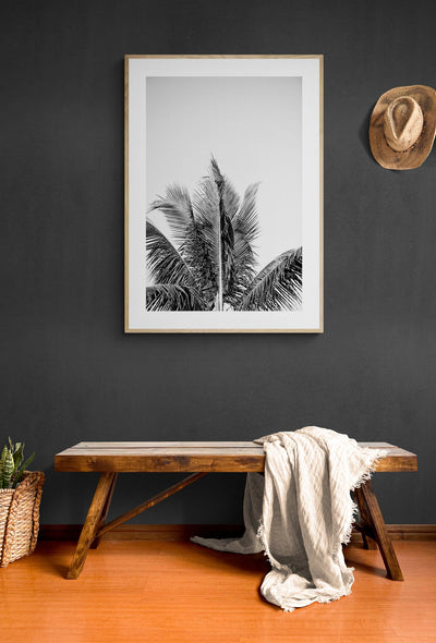 Modern Black And White Photograph - No. 14 by Alicia Bock Print Shop - product image 3 for Resin Society