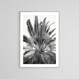 Modern Black And White Photograph - No. 15 by Alicia Bock Print Shop - product image 2 for Resin Society