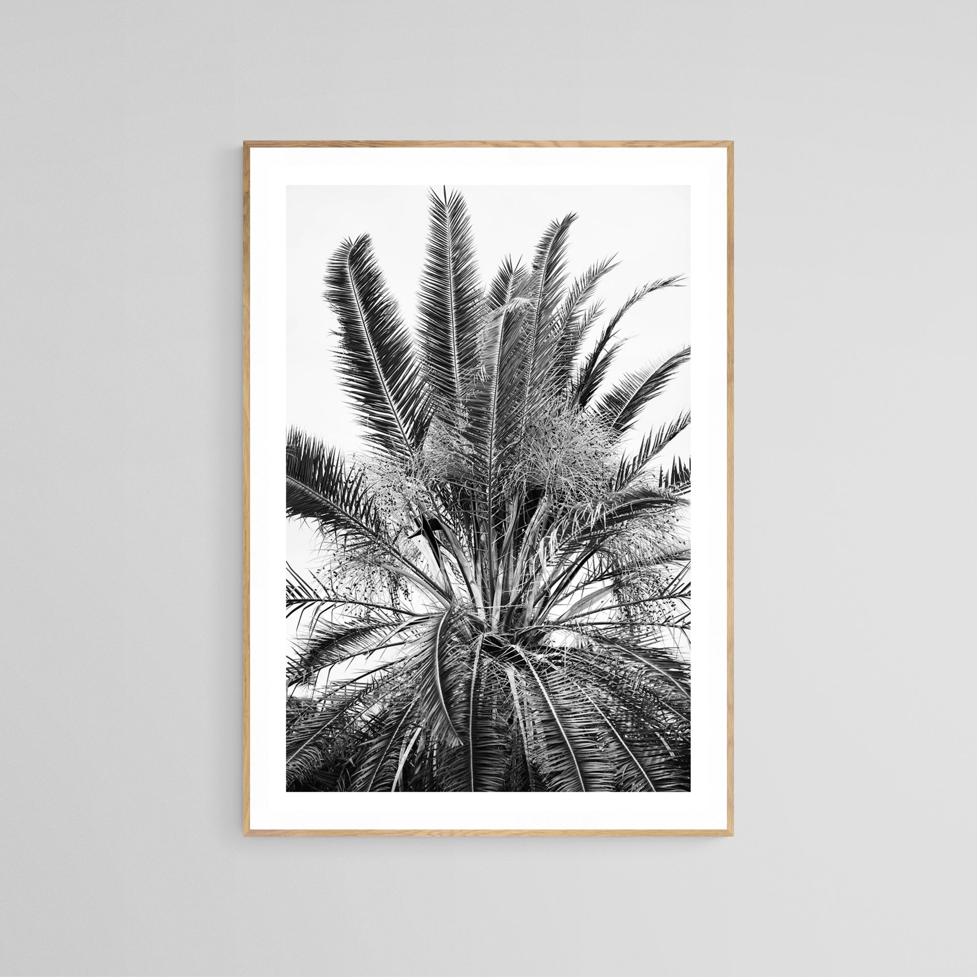 Modern Black And White Photograph - No. 15 by Alicia Bock Print Shop - product image 2 for Resin Society
