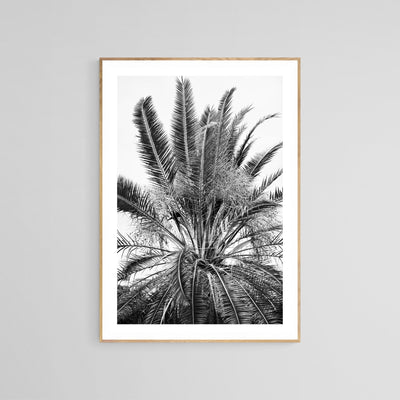 Modern Black And White Photograph - No. 15 by Alicia Bock Print Shop - product image 2 for Resin Society