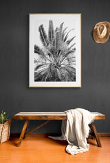 Modern Black And White Photograph - No. 15 by Alicia Bock Print Shop - product image 3 for Resin Society