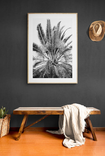 Modern Black And White Photograph - No. 15 by Alicia Bock Print Shop - product image 3 for Resin Society