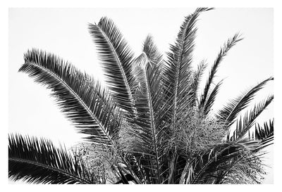 Modern Black And White Photograph - No. 19 by Alicia Bock Print Shop - main product image for Resin Society