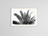 Modern Black And White Photograph - No. 19 by Alicia Bock Print Shop - product image 2 for Resin Society
