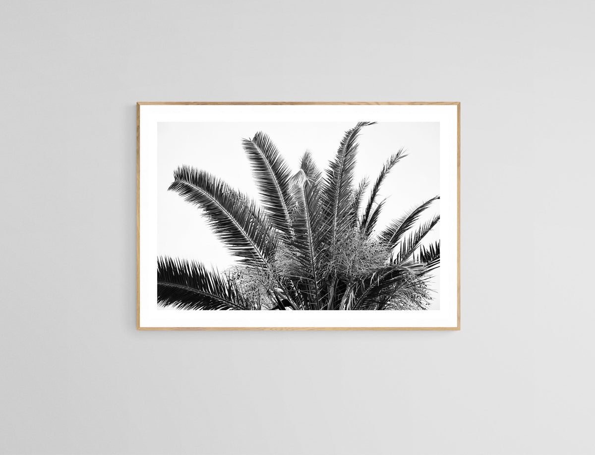 Modern Black And White Photograph - No. 19 by Alicia Bock Print Shop - product image 2 for Resin Society