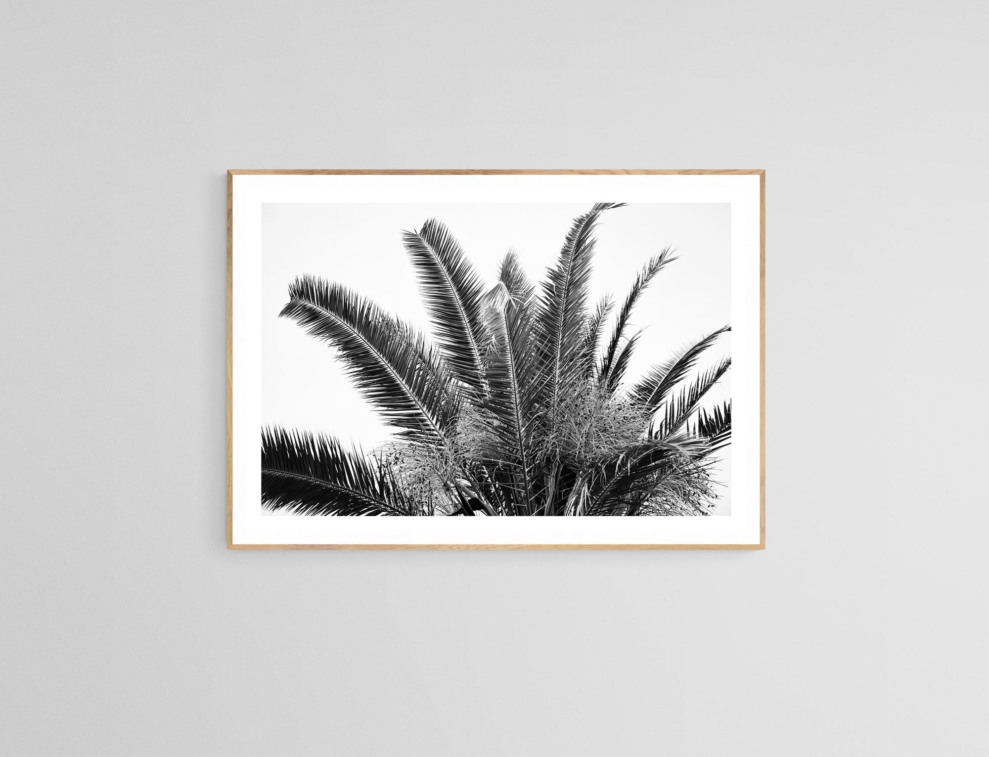 Modern Black And White Photograph - No. 19 by Alicia Bock Print Shop - product image 2 for Resin Society