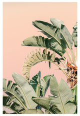 Modern Fine Art Photograph - Palm Beach #2 by Alicia Bock Print Shop - main product image for Resin Society