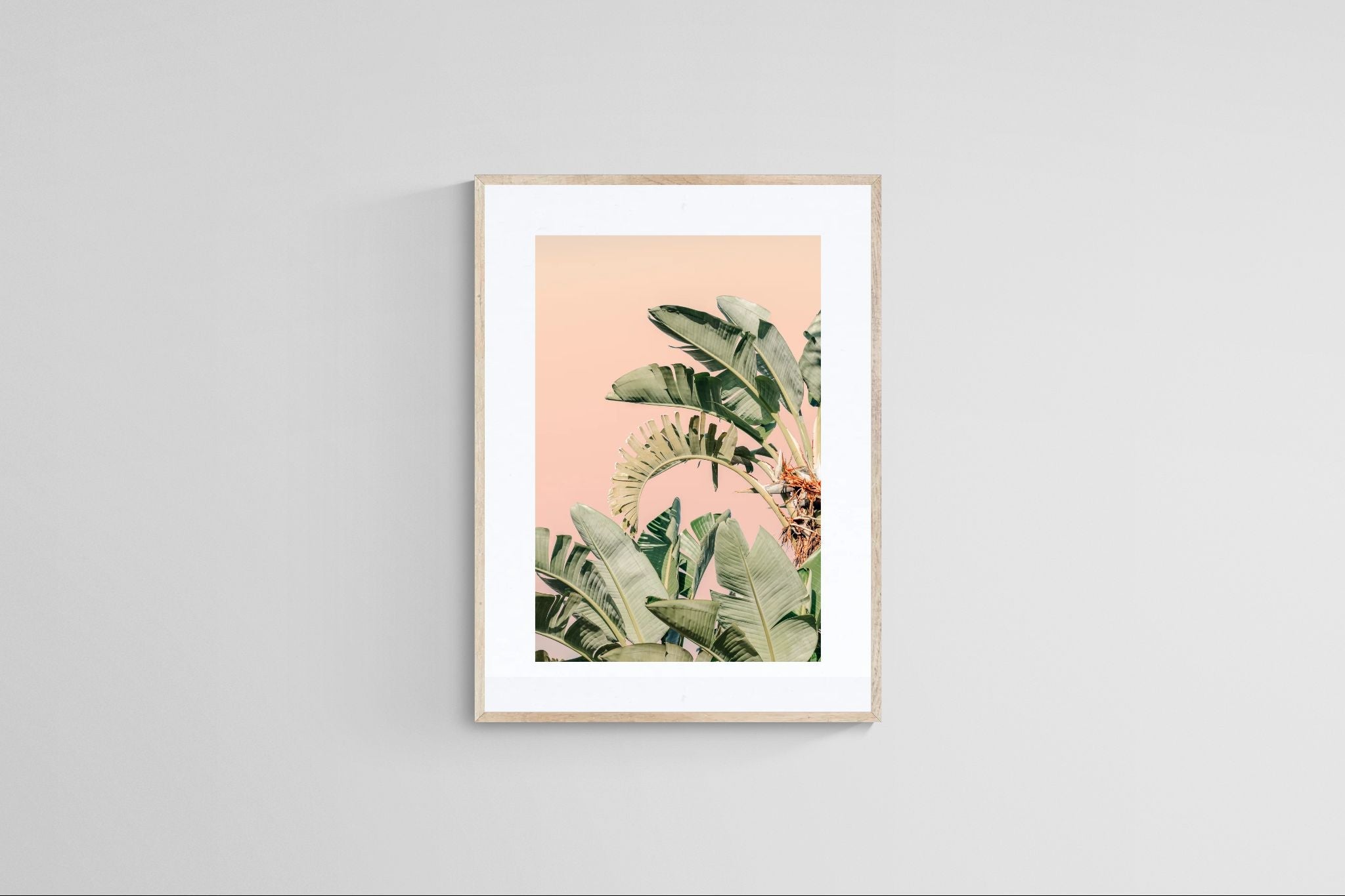 Modern Fine Art Photograph - Palm Beach #2 by Alicia Bock Print Shop - product image 3 for Resin Society