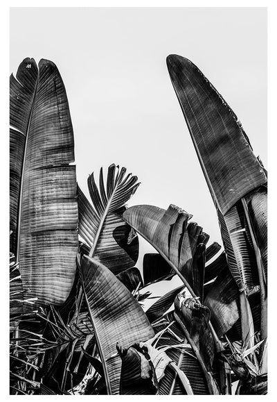 Modern Fine Art Photograph - Silver Skies #1 by Alicia Bock Print Shop - main product image for Resin Society