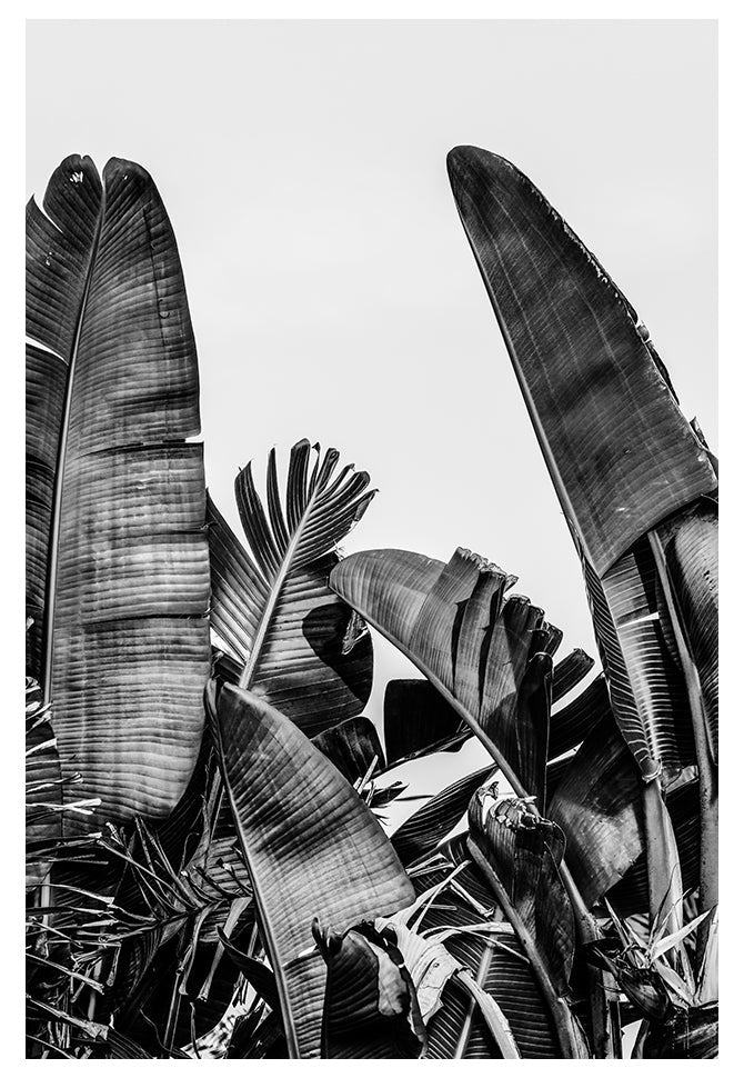 Modern Fine Art Photograph - Silver Skies #1 by Alicia Bock Print Shop - main product image for Resin Society