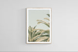 Modern Fine Art Photograph - Spring Mint #2 by Alicia Bock Print Shop - product image 3 for Resin Society