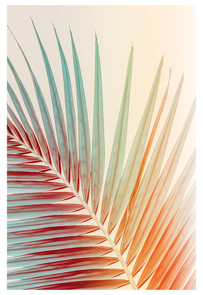 Modern Fine Art Photograph - Spring Palm by Alicia Bock Print Shop - main product image for Resin Society