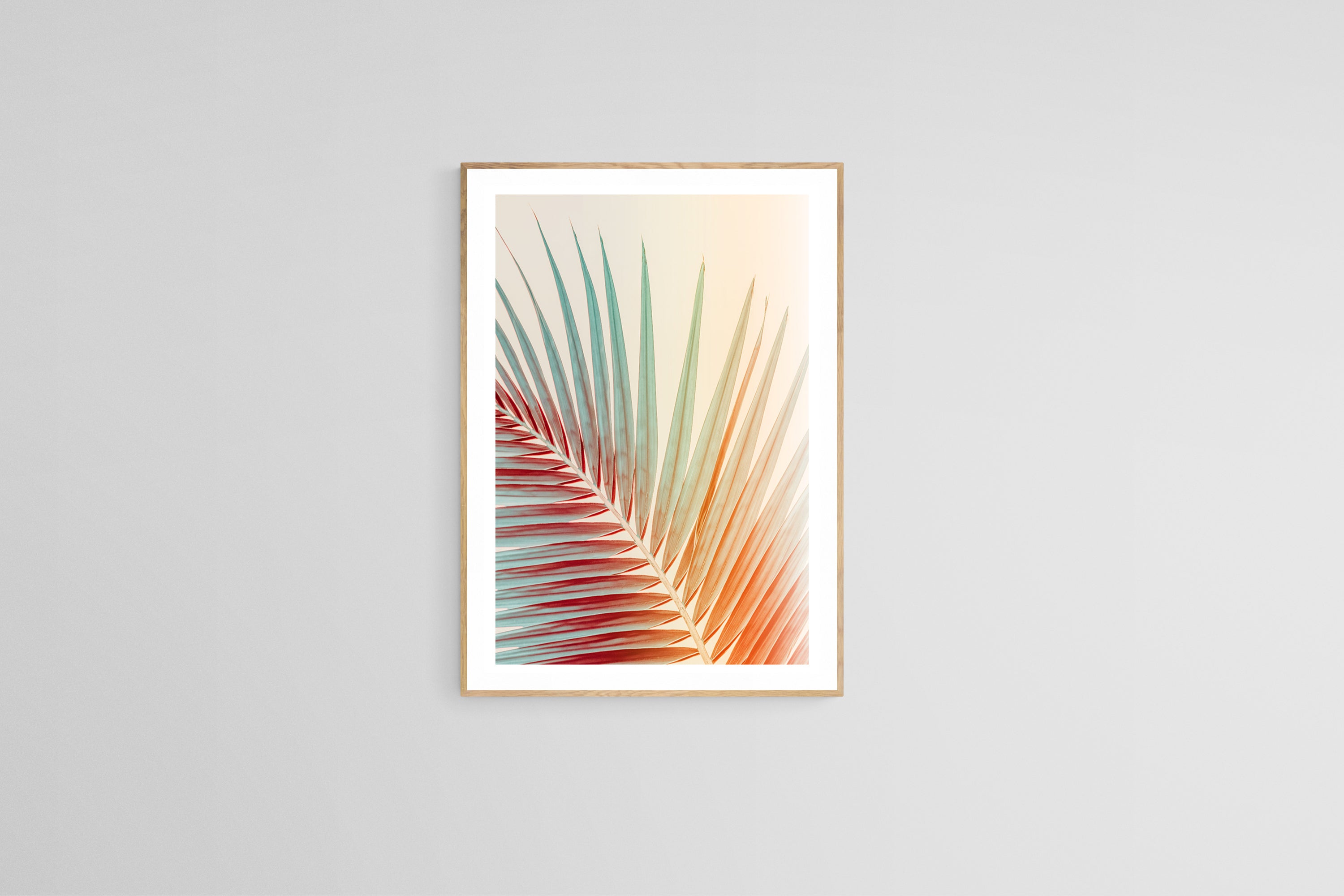 Modern Fine Art Photograph - Spring Palm by Alicia Bock Print Shop - product image 2 for Resin Society