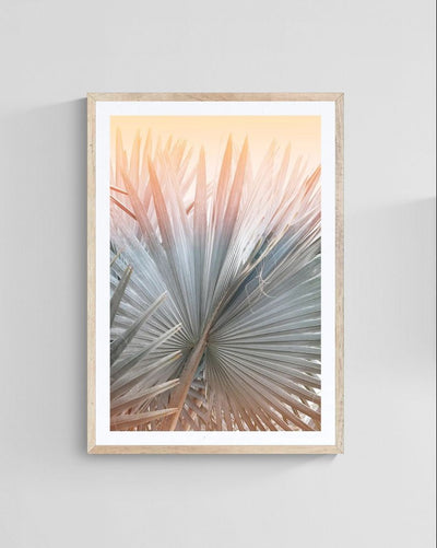 Modern Fine Art Photograph - Summer Romance by Alicia Bock Print Shop - product image 3 for Resin Society