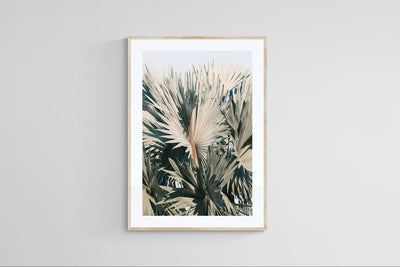 Modern Fine Art Photograph - This I Know by Alicia Bock Print Shop - product image 3 for Resin Society