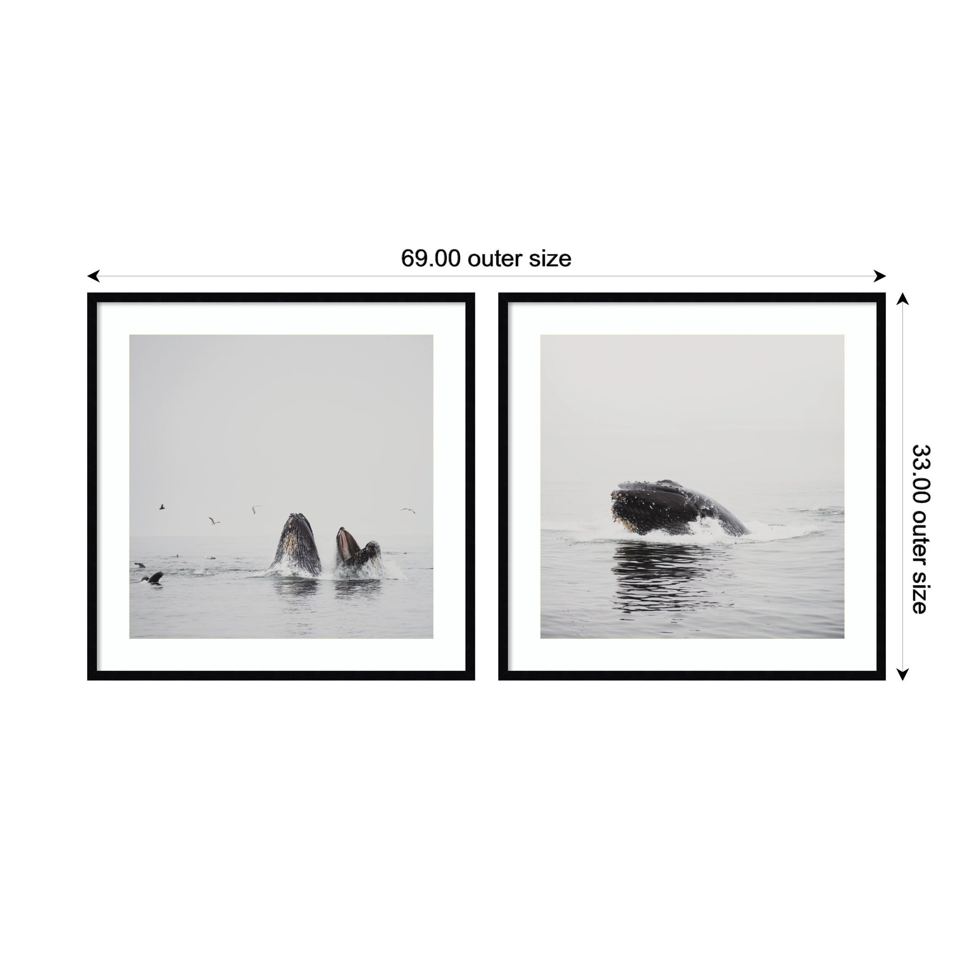 Humpback Whale 2 Piece Framed Wall Art Print Set by Laura Evans
