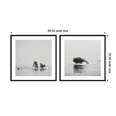 Humpback Whale 2 Piece Framed Wall Art Print Set by Laura Evans