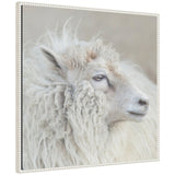 Harry Crop framed canvas wall art print featuring rustic farmhouse style in Sylvie frame