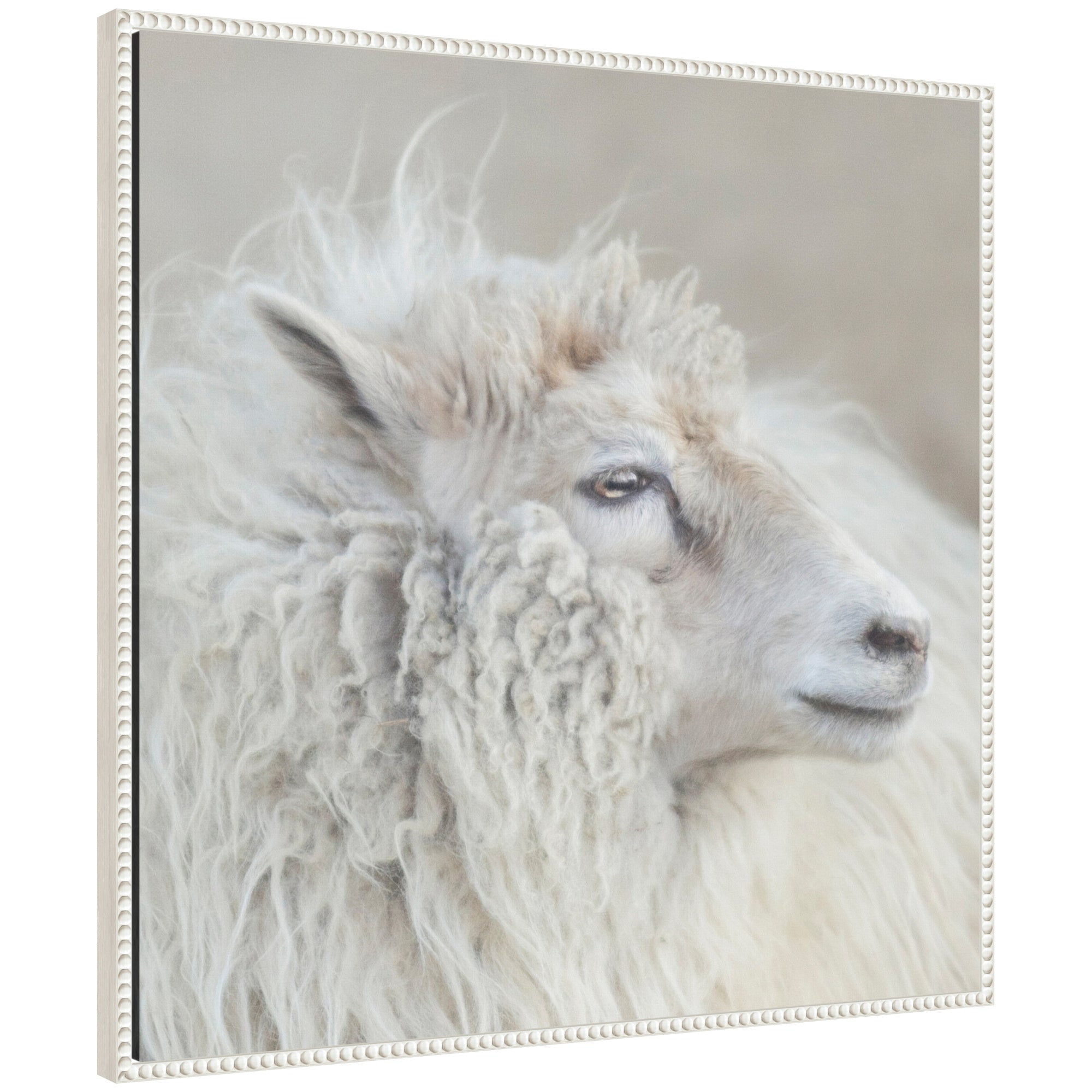 Harry Crop framed canvas wall art print featuring rustic farmhouse style in Sylvie frame