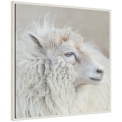 Harry Crop framed canvas wall art print featuring rustic farmhouse style in Sylvie frame