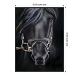 Close-up portrait of a black horse with flowing mane and silver bridle against a dark background, emphasizing its glossy coat and gentle eye.