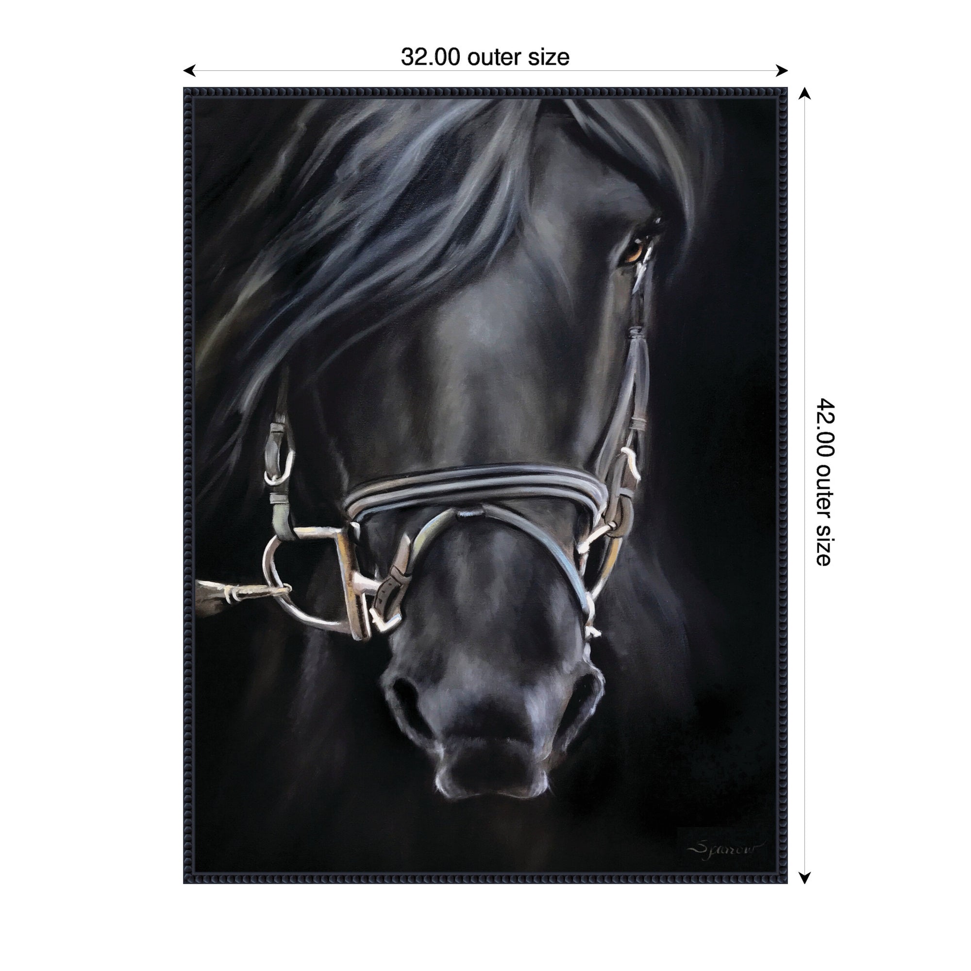 Ebony Splendor by Mary Sparrow Framed Canvas Wall Art Print