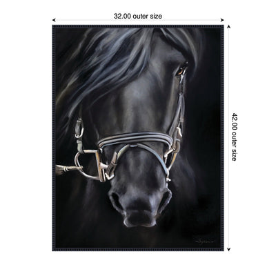 Ebony Splendor by Mary Sparrow Framed Canvas Wall Art Print