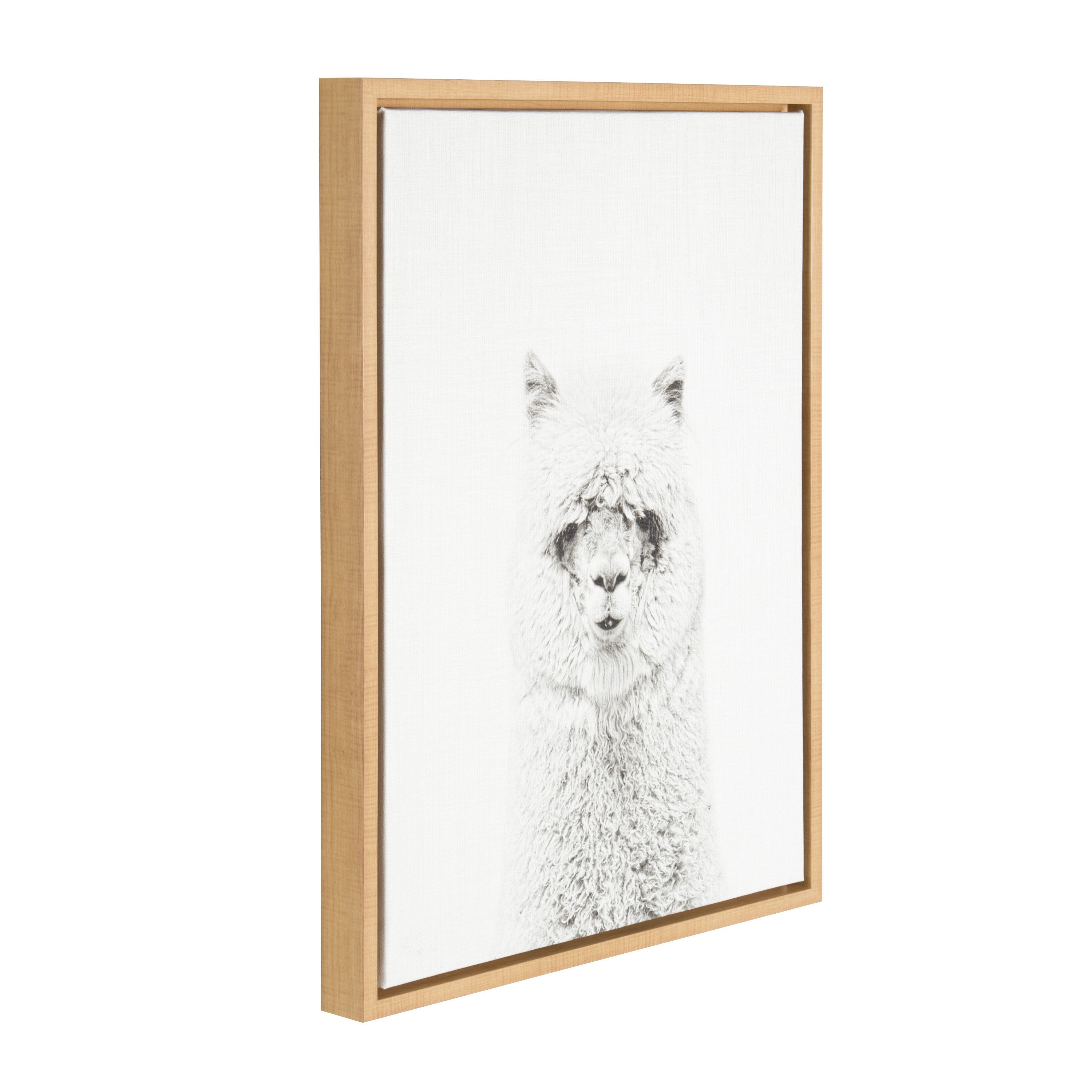 Sylvie Hairy Alpaca Framed Canvas by Simon Te of Tai Prints