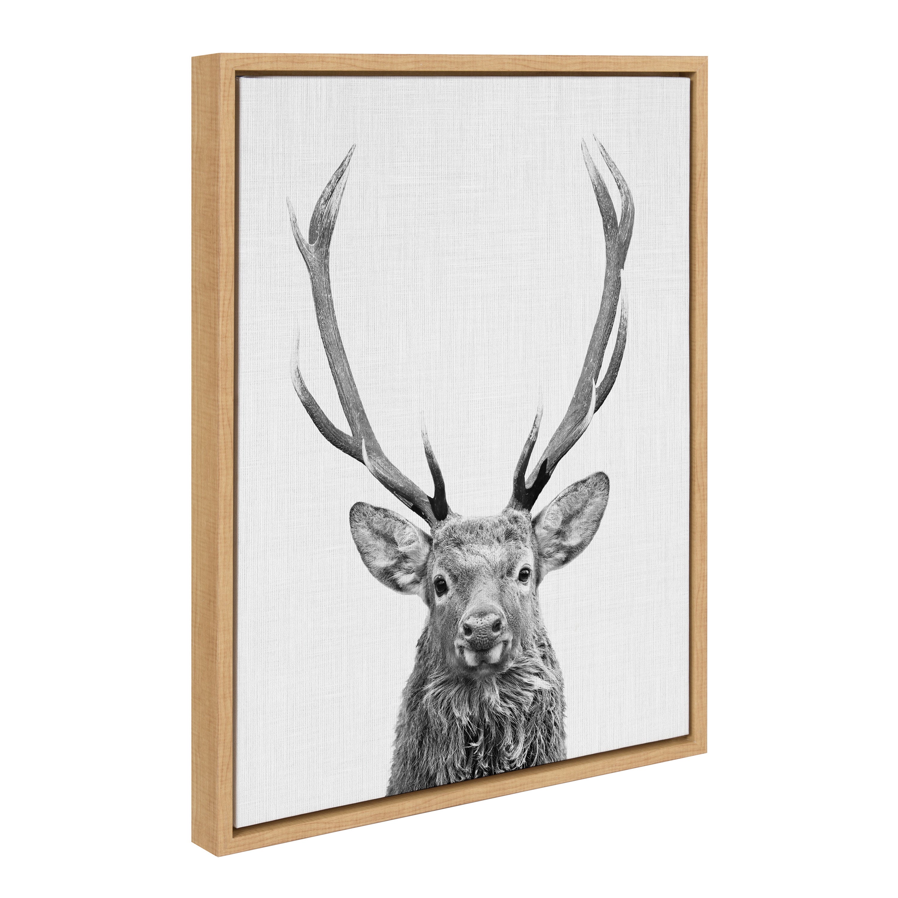 Sylvie The Red Deer BW Framed Canvas by Simon Te of Tai Prints