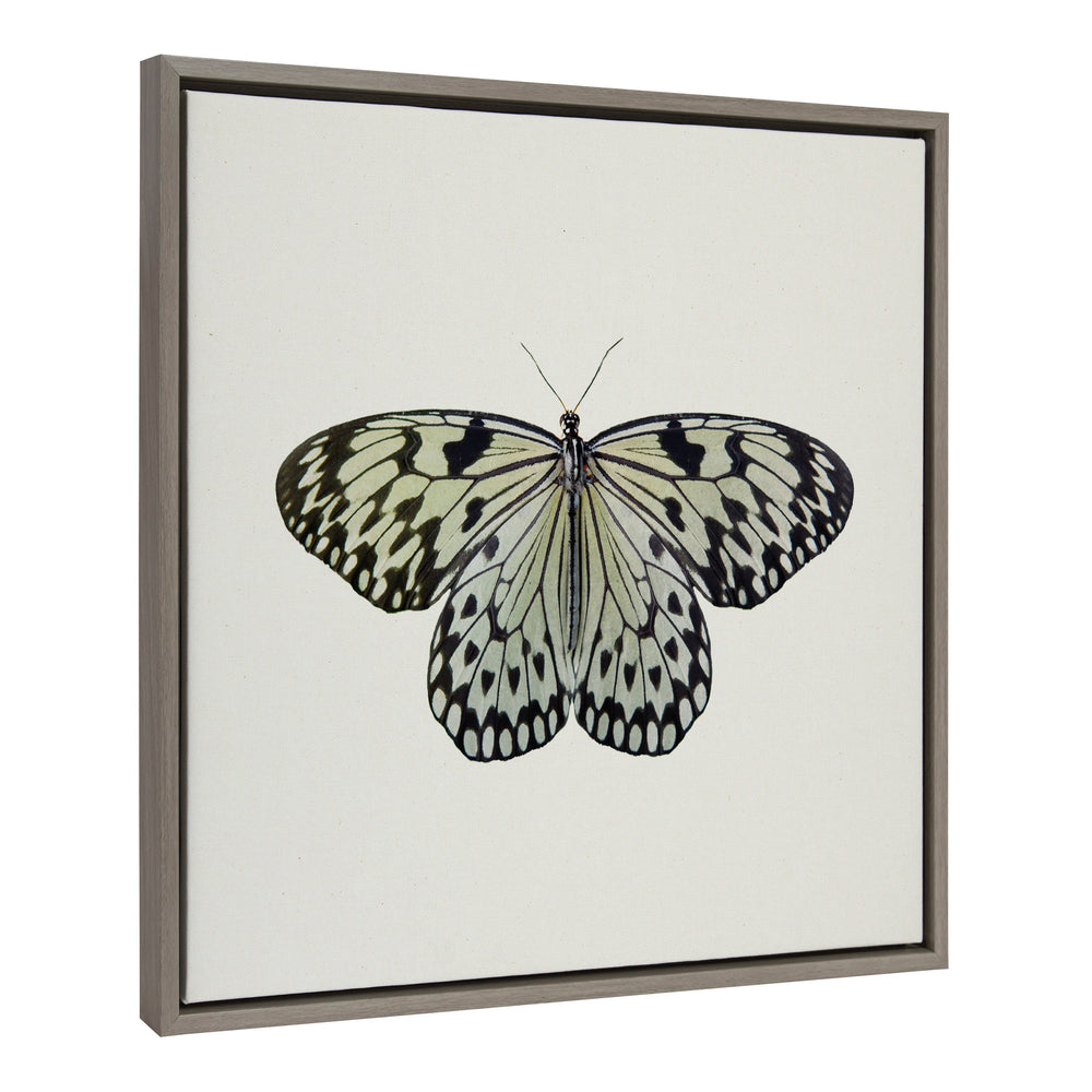 Sylvie Two Tone Butterfly Framed Canvas by kateandlaurel - main product image for Resin Society