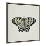 Sylvie Two Tone Butterfly Framed Canvas by kateandlaurel - main product image for Resin Society