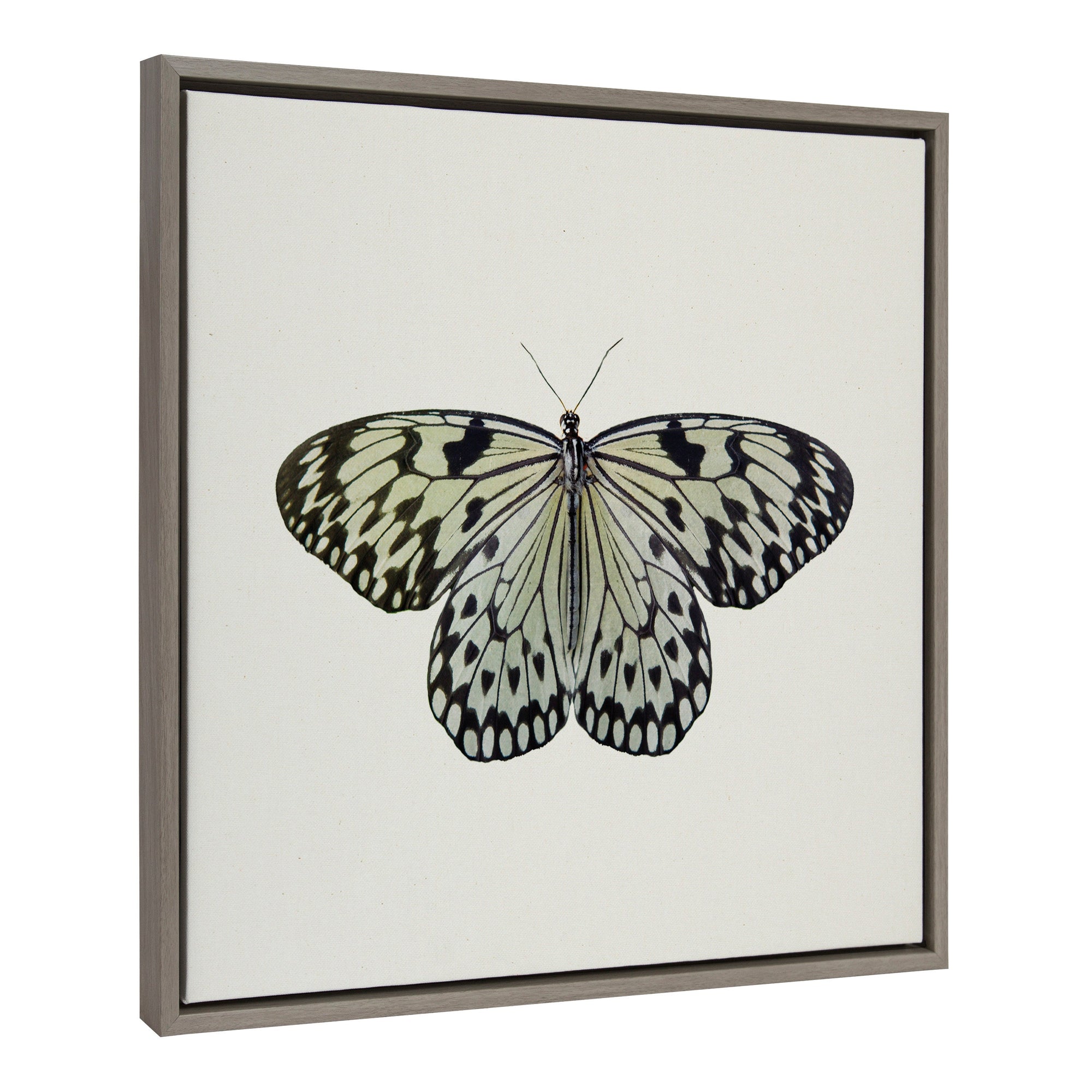 Sylvie Two Tone Butterfly Framed Canvas by kateandlaurel - main product image for Resin Society