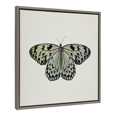 Sylvie Two Tone Butterfly Framed Canvas by kateandlaurel - main product image for Resin Society