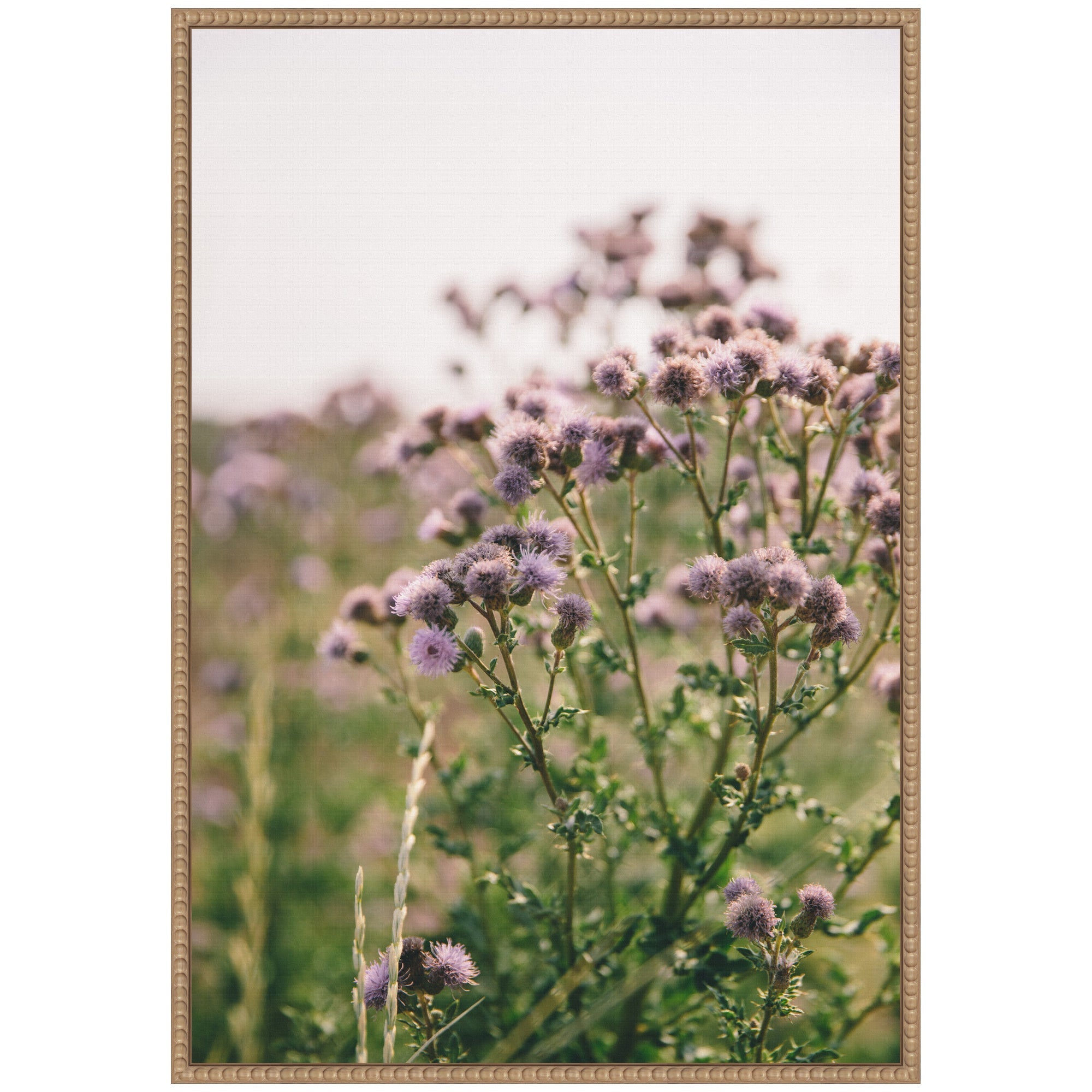 Sylvie Soft Purple Flower Blooms Framed Canvas by Patricia Hasz