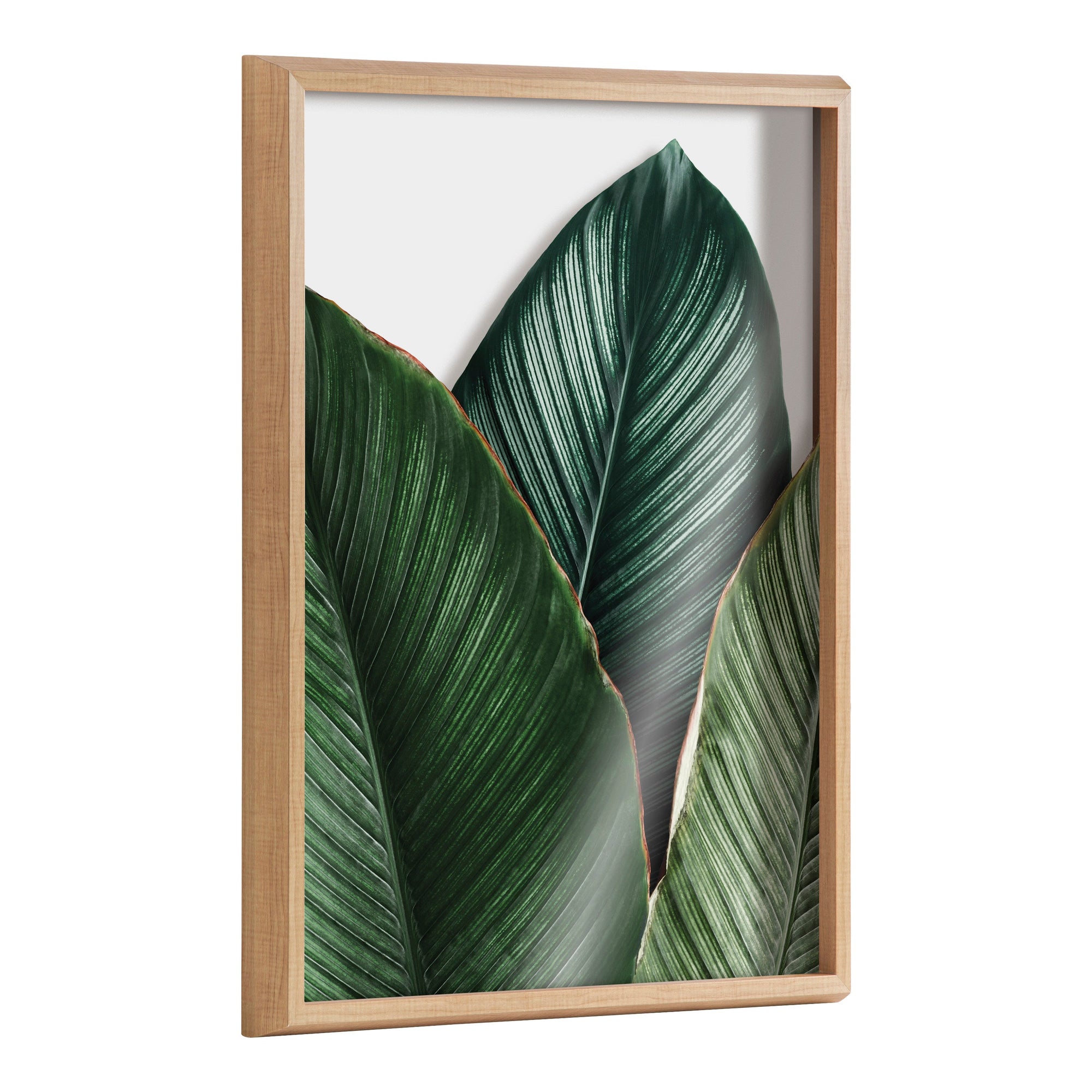 Blake Tropical Palm Leaves Framed Printed Glass by kateandlaurel - main product image for Resin Society