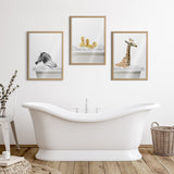 Blake Bathroom Bubble Bath Zebra Framed Printed Glass by The Creative by kateandlaurel - product image 8 for Resin Society