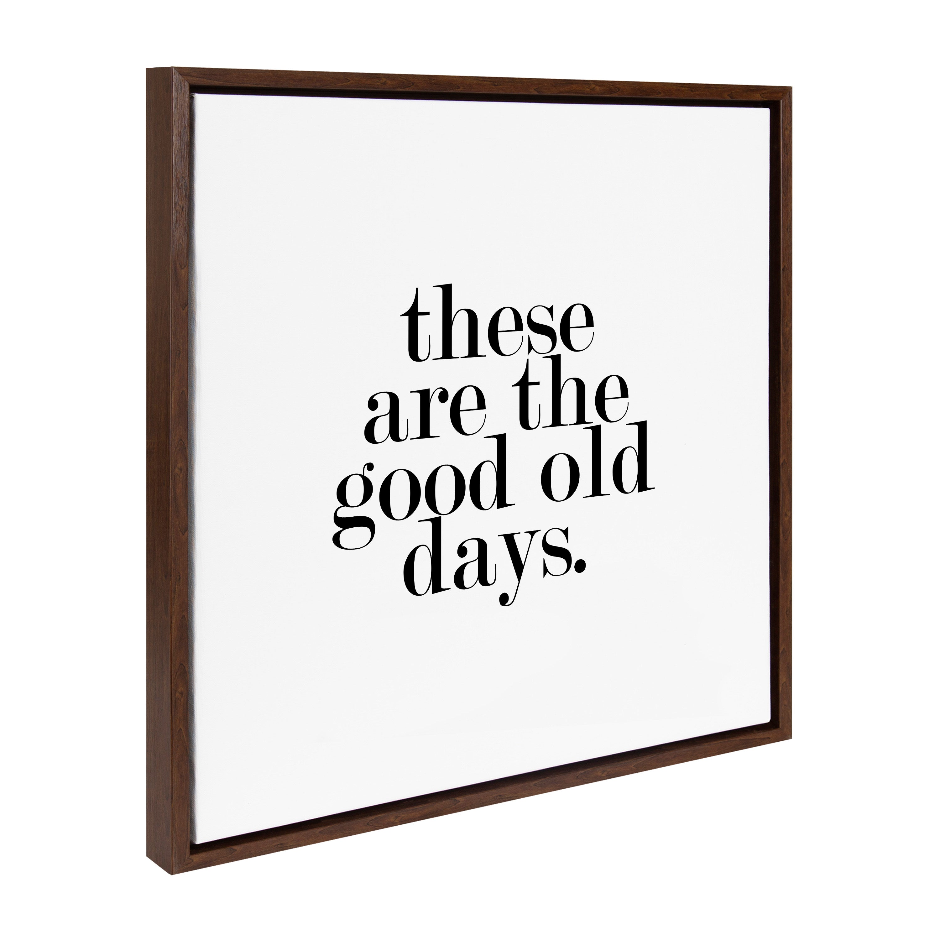 Sylvie Good Old Days Framed Canvas by kateandlaurel - product image 16 for Resin Society