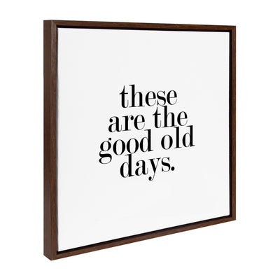 Sylvie Good Old Days Framed Canvas by kateandlaurel - product image 16 for Resin Society