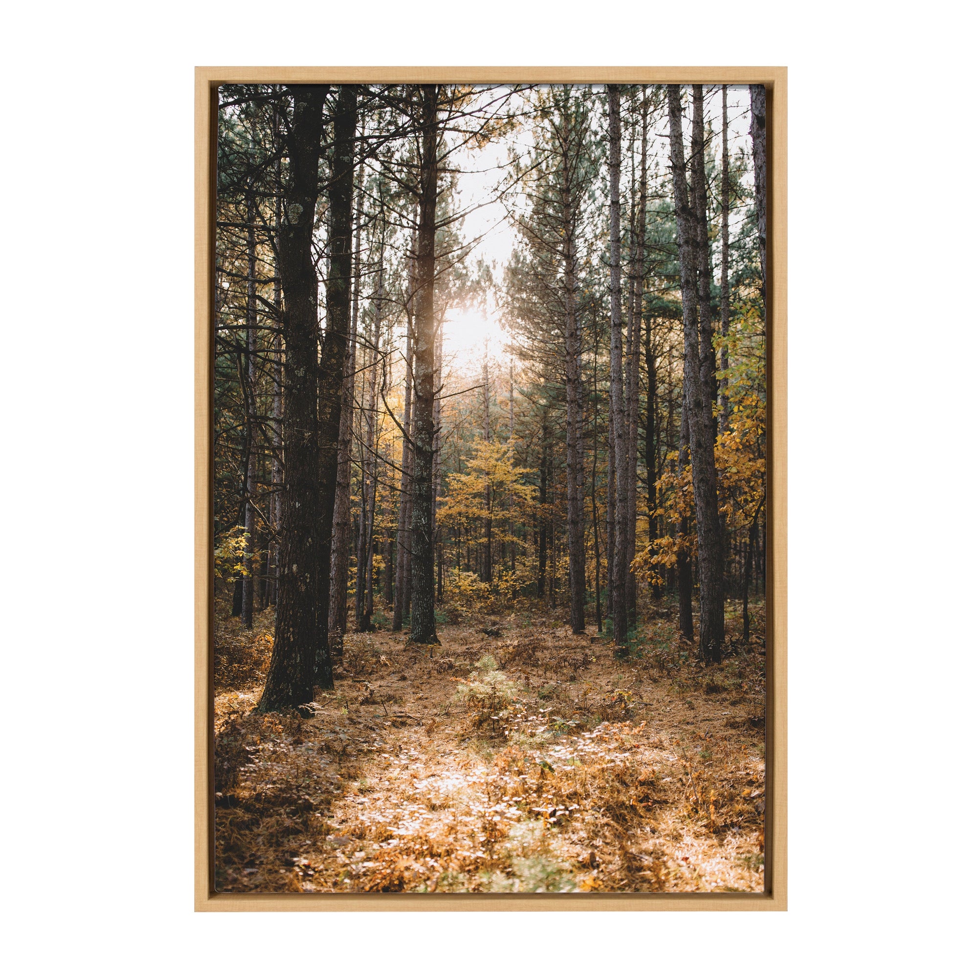 Sylvie A Walk in the Woods framed canvas art by Patricia Hasz showing a serene wooded landscape in natural tones, framed with a natural finish floating frame.