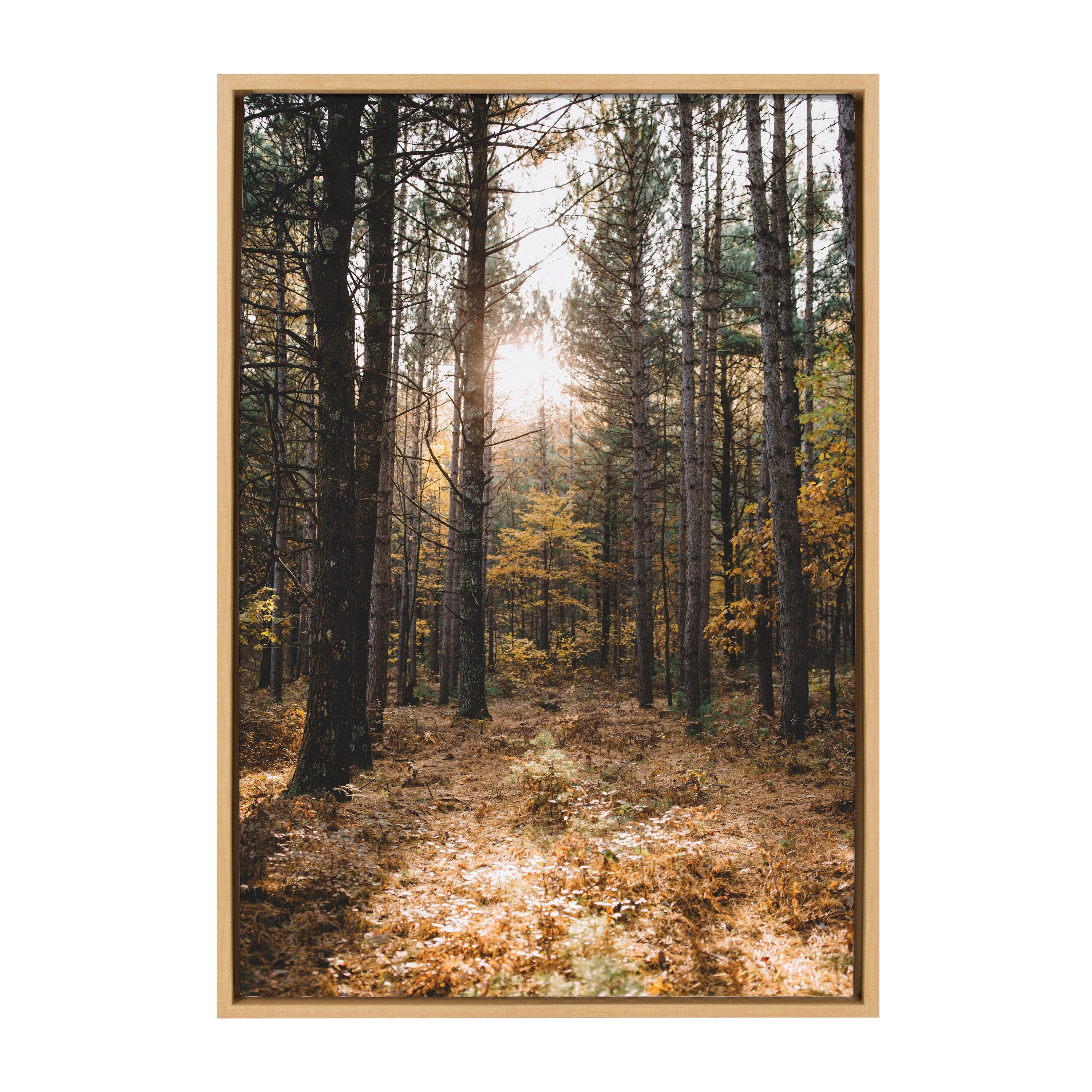 Sylvie A Walk in the Woods framed canvas art by Patricia Hasz showing a serene wooded landscape in natural tones, framed with a natural finish floating frame.