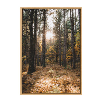 Sylvie A Walk in the Woods framed canvas art by Patricia Hasz showing a serene wooded landscape in natural tones, framed with a natural finish floating frame.