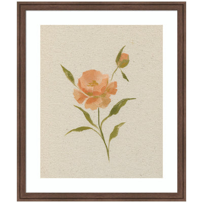 AQ Simple Bloom No 7 by Annie Quigley framed wall art print in Florence Medium Brown frame