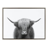 Frontal black-and-white portrait of a Highland cow with long hair covering its eyes and prominent outward-curving horns, framed in a simple neutral frame.