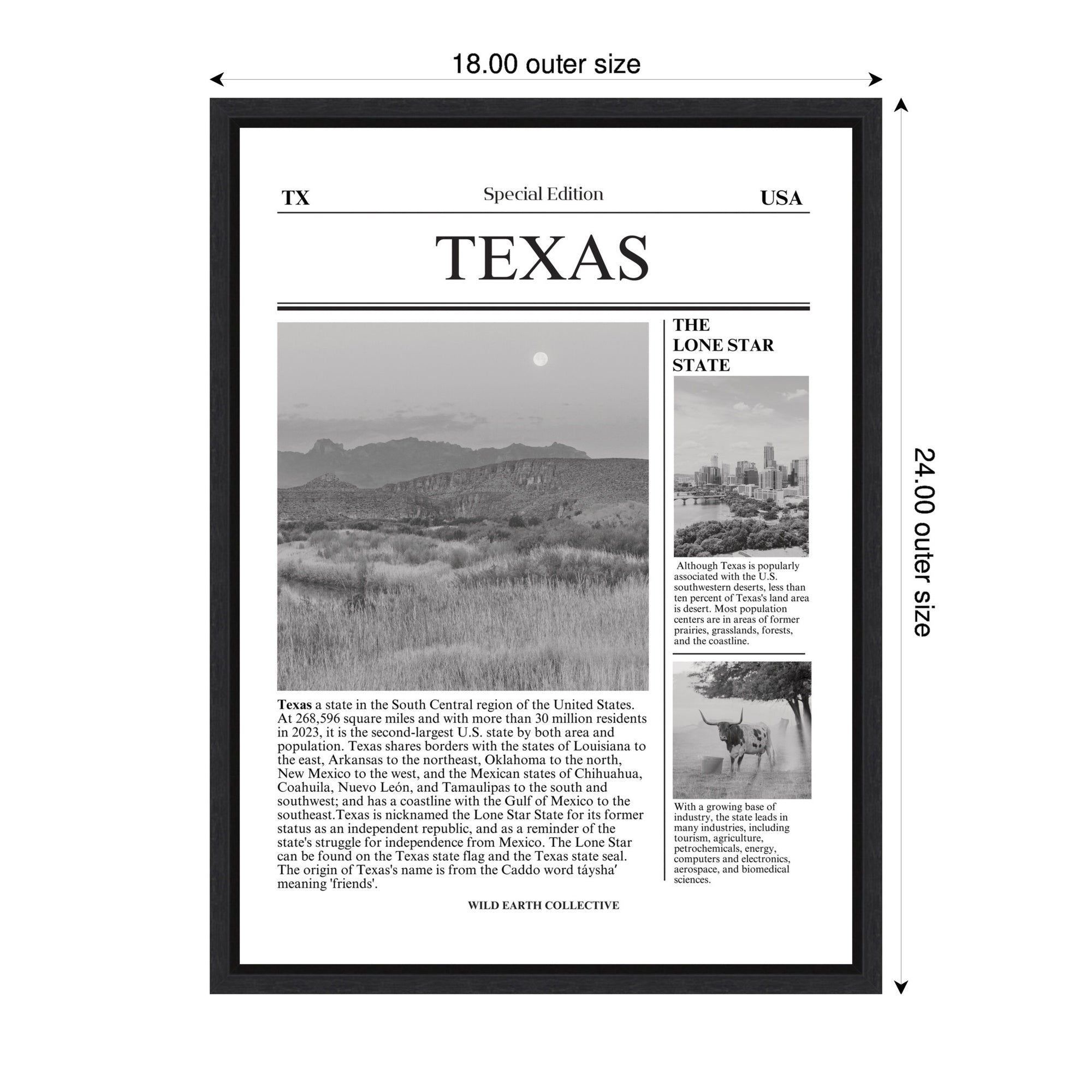 Texas Article by Megan Ryan Framed Canvas Wall Art Print